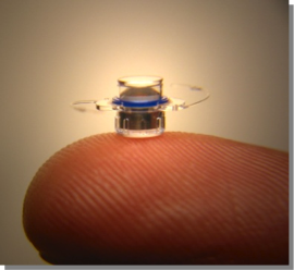 Implantable Microscope Technology (IMT)