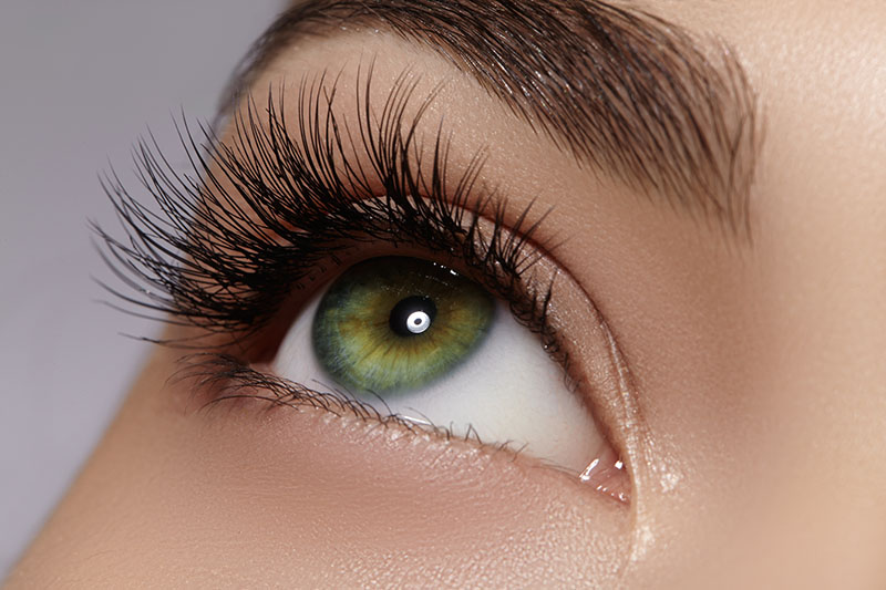 Close up of a woman's full eyelashes